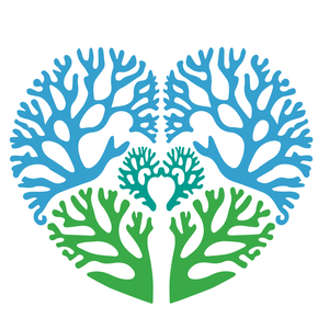 Fundraising Page: Rosie's Reef - Rosie Mouritzen